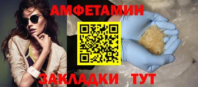 a pvp Новодвинск