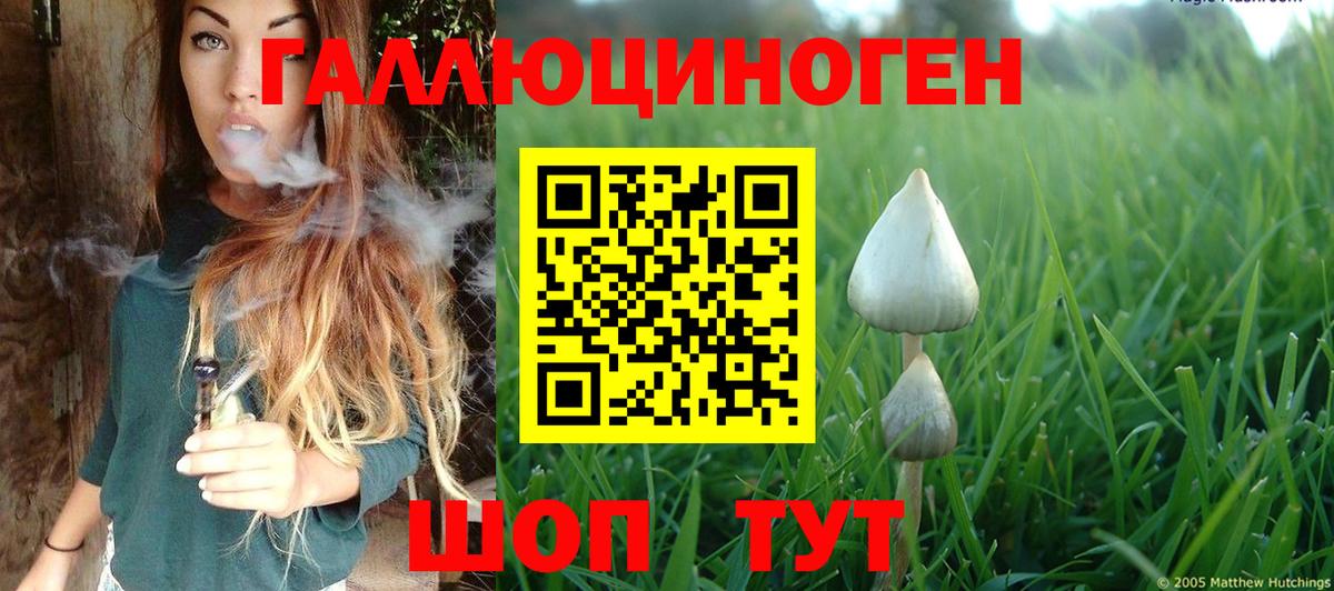 Саянск  Галлюциногенные грибы GOLDEN TEACHER  Псилоцибиновые грибы прущие грибы  Вход с VPN 